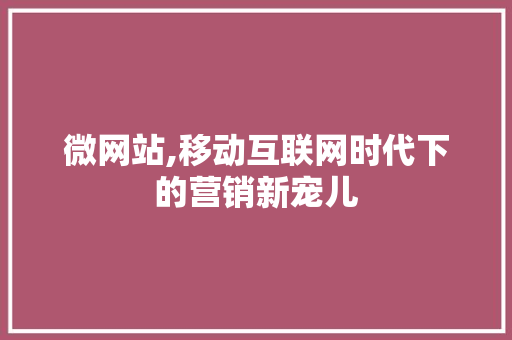 微网站,移动互联网时代下的营销新宠儿