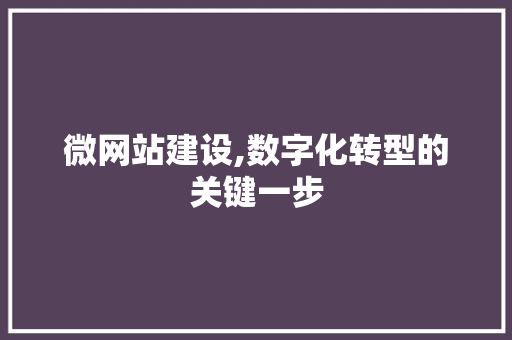微网站建设,数字化转型的关键一步