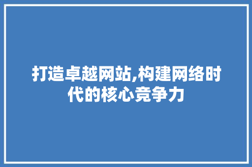 打造卓越网站,构建网络时代的核心竞争力