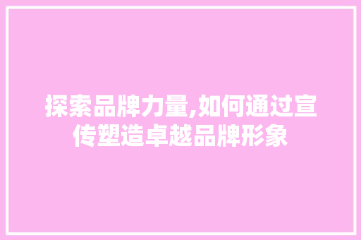 探索品牌力量,如何通过宣传塑造卓越品牌形象