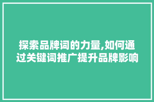 探索品牌词的力量,如何通过关键词推广提升品牌影响力