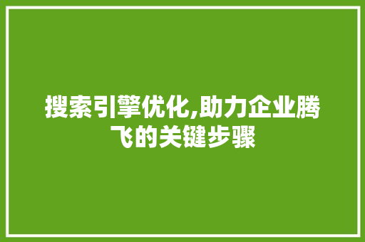 搜索引擎优化,助力企业腾飞的关键步骤