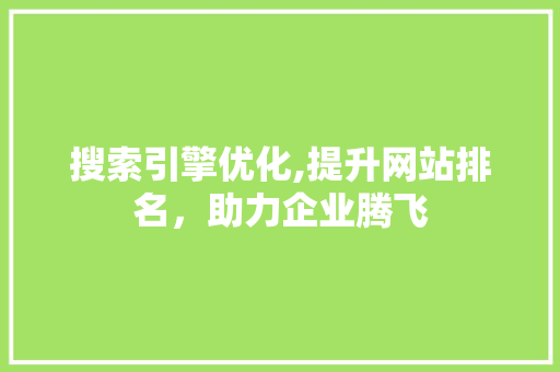 搜索引擎优化,提升网站排名，助力企业腾飞
