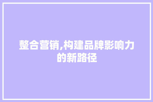 整合营销,构建品牌影响力的新路径