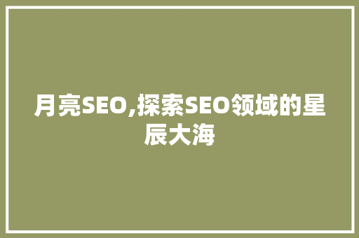 月亮SEO,探索SEO领域的星辰大海