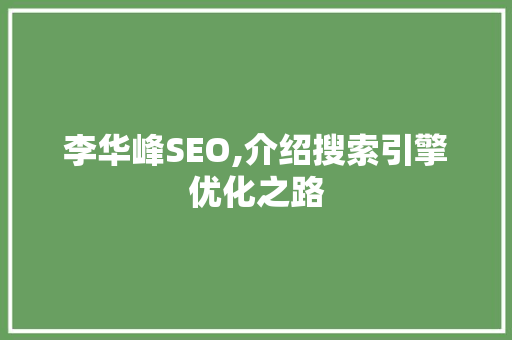 李华峰SEO,介绍搜索引擎优化之路