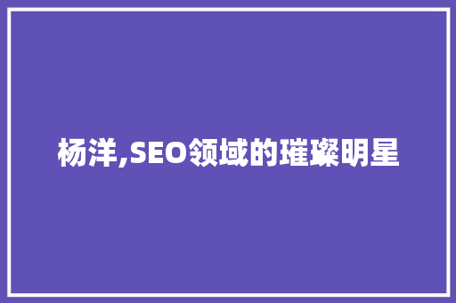 杨洋,SEO领域的璀璨明星
