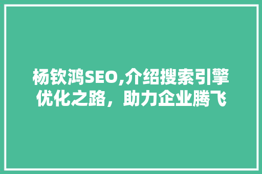 杨钦鸿SEO,介绍搜索引擎优化之路，助力企业腾飞