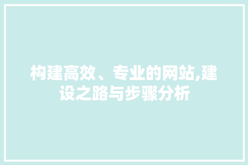 构建高效、专业的网站,建设之路与步骤分析