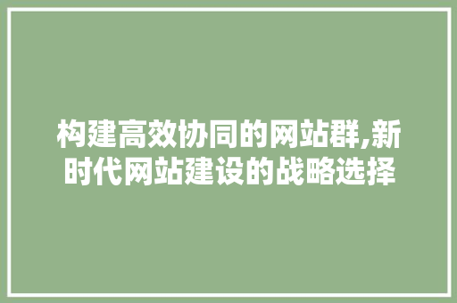 构建高效协同的网站群,新时代网站建设的战略选择