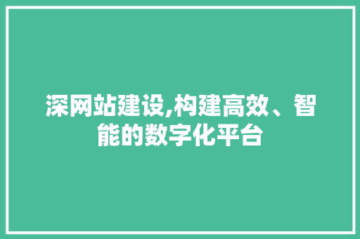 深网站建设,构建高效、智能的数字化平台