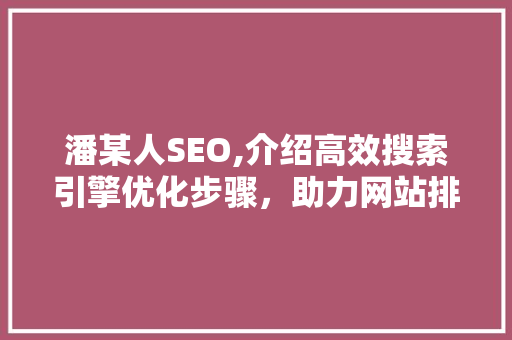 潘某人SEO,介绍高效搜索引擎优化步骤，助力网站排名提升