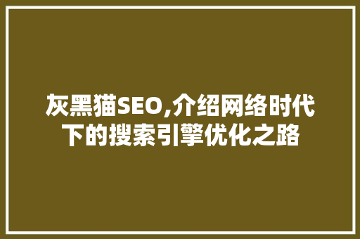 灰黑猫SEO,介绍网络时代下的搜索引擎优化之路