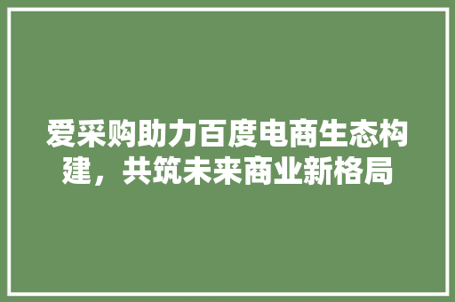 爱采购助力百度电商生态构建，共筑未来商业新格局