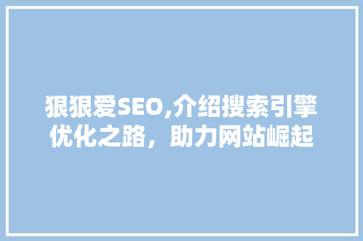 狠狠爱SEO,介绍搜索引擎优化之路，助力网站崛起