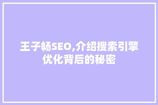 王子畅SEO,介绍搜索引擎优化背后的秘密