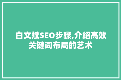 白文斌SEO步骤,介绍高效关键词布局的艺术
