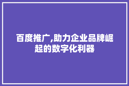 百度推广,助力企业品牌崛起的数字化利器