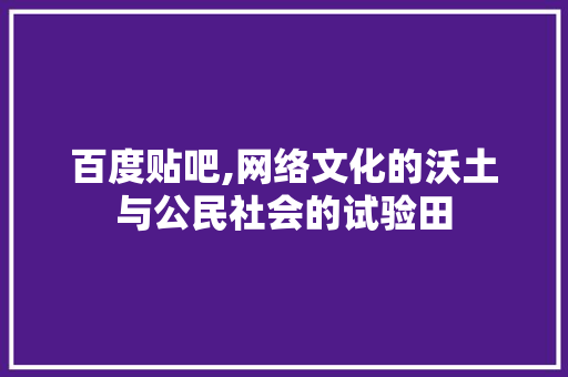 百度贴吧,网络文化的沃土与公民社会的试验田