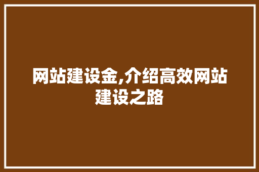 网站建设金,介绍高效网站建设之路