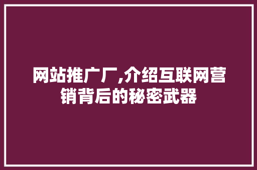 网站推广厂,介绍互联网营销背后的秘密武器