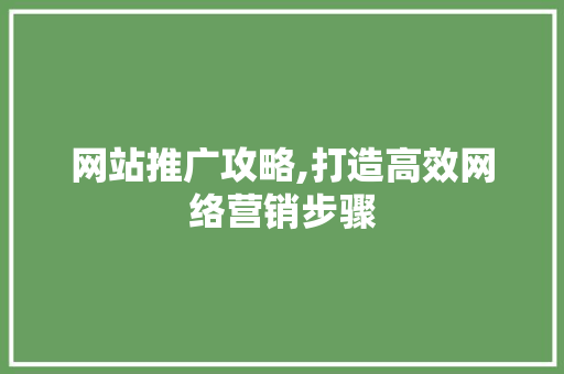 网站推广攻略,打造高效网络营销步骤