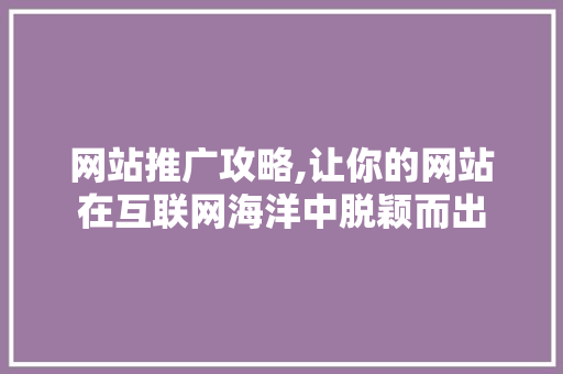 网站推广攻略,让你的网站在互联网海洋中脱颖而出