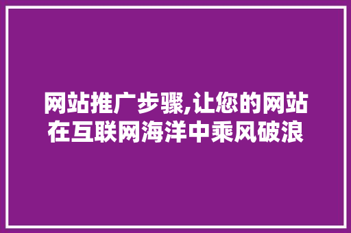 网站推广步骤,让您的网站在互联网海洋中乘风破浪