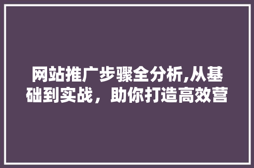 网站推广步骤全分析,从基础到实战，助你打造高效营销方法