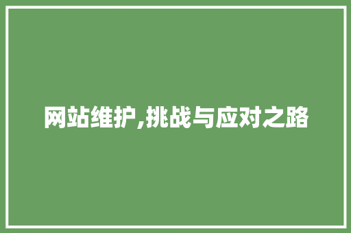 网站维护,挑战与应对之路