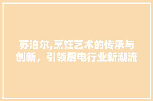 苏泊尔,烹饪艺术的传承与创新，引领厨电行业新潮流