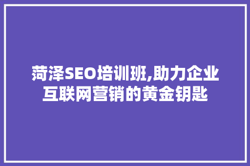 菏泽SEO培训班,助力企业互联网营销的黄金钥匙