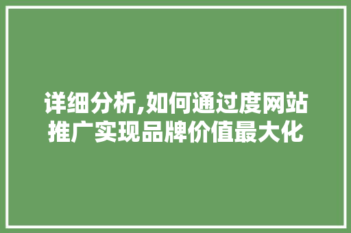 详细分析,如何通过度网站推广实现品牌价值最大化