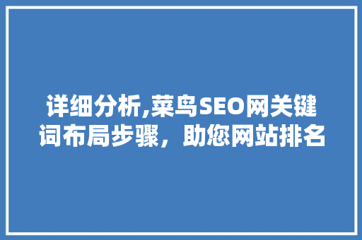 详细分析,菜鸟SEO网关键词布局步骤，助您网站排名飙升！