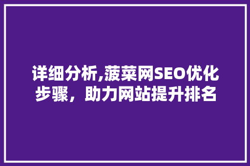 详细分析,菠菜网SEO优化步骤，助力网站提升排名