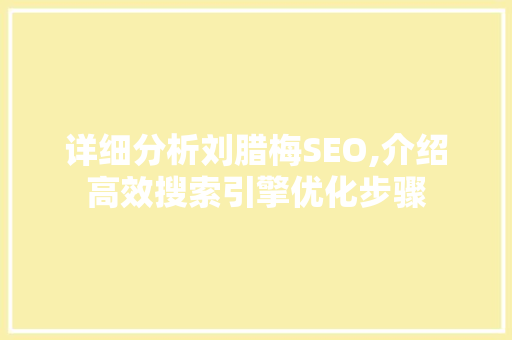 详细分析刘腊梅SEO,介绍高效搜索引擎优化步骤