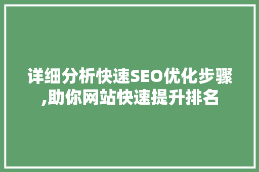 详细分析快速SEO优化步骤,助你网站快速提升排名