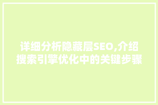 详细分析隐藏层SEO,介绍搜索引擎优化中的关键步骤