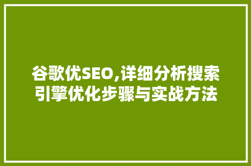 谷歌优SEO,详细分析搜索引擎优化步骤与实战方法