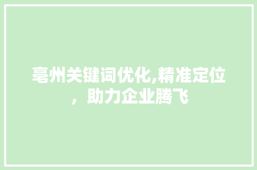 亳州关键词优化,精准定位，助力企业腾飞