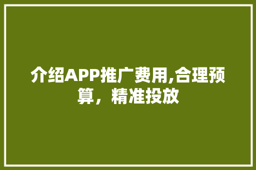 介绍APP推广费用,合理预算，精准投放