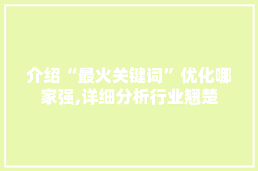 介绍“最火关键词”优化哪家强,详细分析行业翘楚