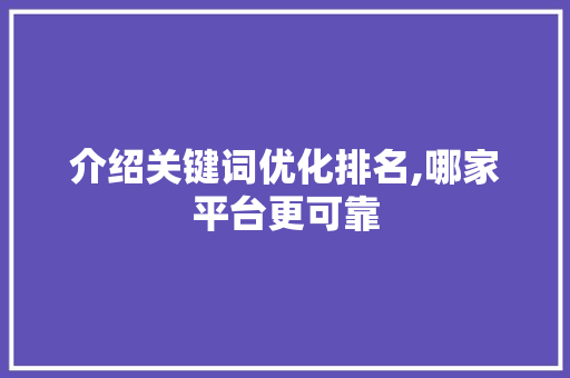 介绍关键词优化排名,哪家平台更可靠