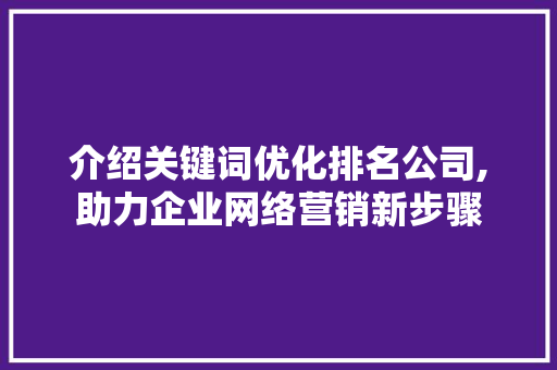 介绍关键词优化排名公司,助力企业网络营销新步骤