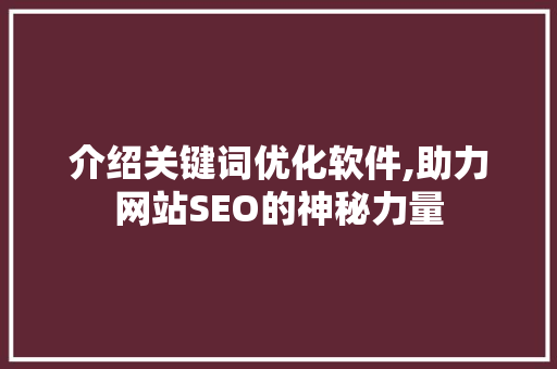 介绍关键词优化软件,助力网站SEO的神秘力量