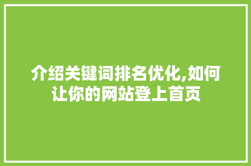 介绍关键词排名优化,如何让你的网站登上首页