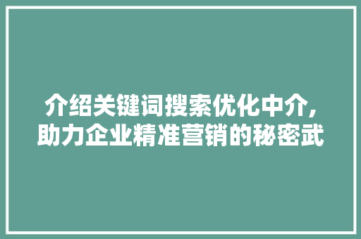 介绍关键词搜索优化中介,助力企业精准营销的秘密武器
