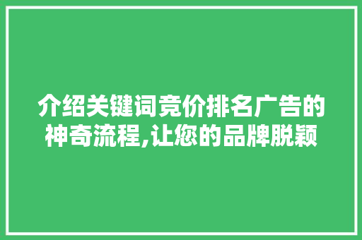 介绍关键词竞价排名广告的神奇流程,让您的品牌脱颖而出！