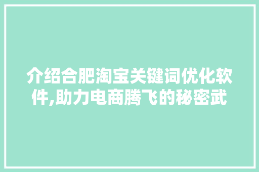 介绍合肥淘宝关键词优化软件,助力电商腾飞的秘密武器