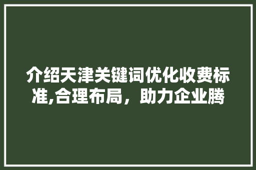 介绍天津关键词优化收费标准,合理布局，助力企业腾飞